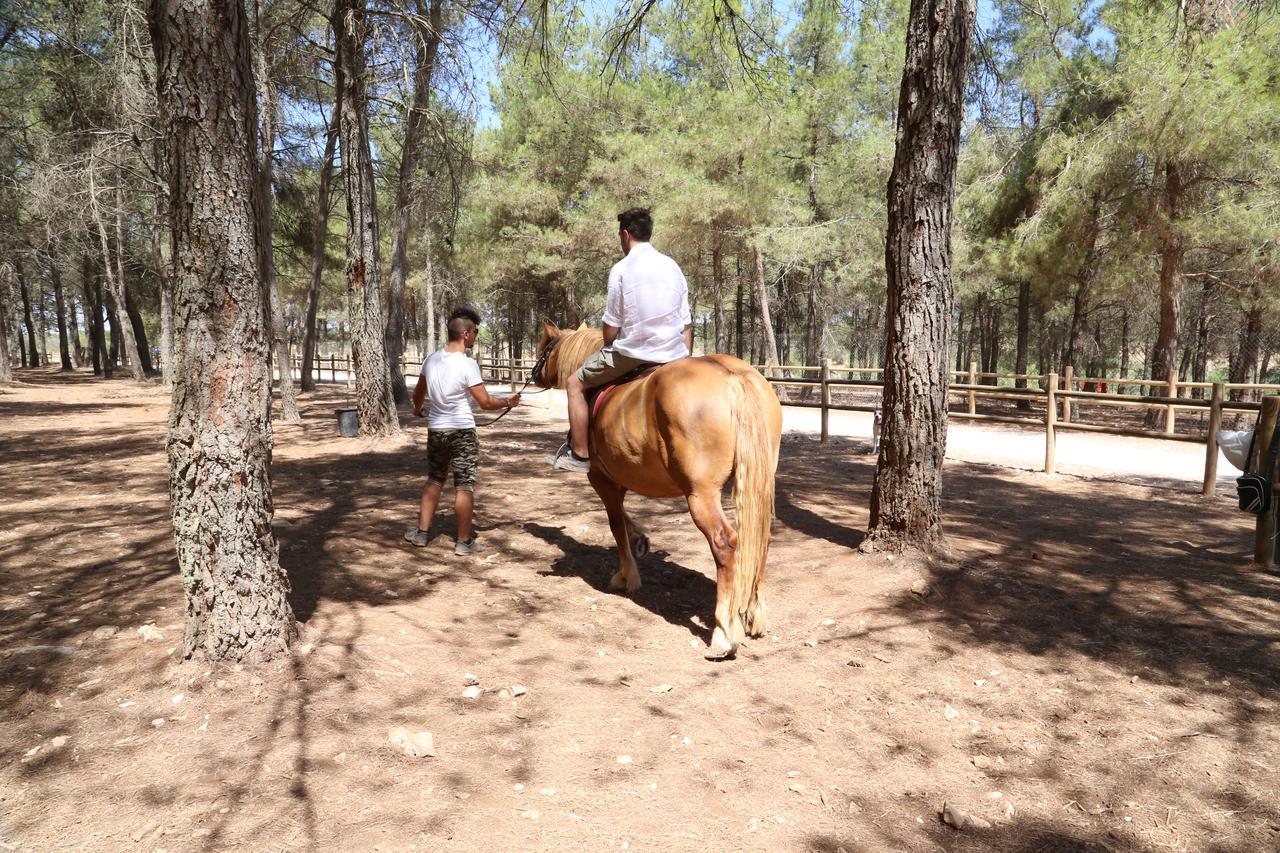 Masseria Chinunno Альтамура Экстерьер фото